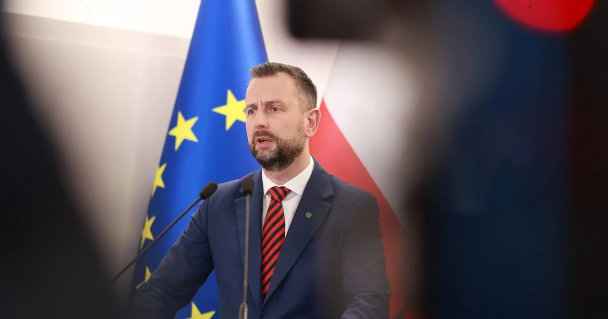 Польські винищувачі МіГ-29 на аеродромі